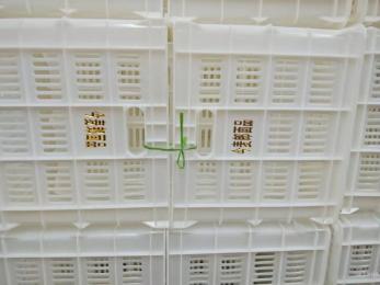 今麥郎、丹尼斯塑料筐